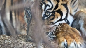 _DSC6645_ergebnis.jpg